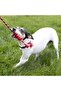Dental Teeth Cleaning Rope Swing Dog Chew Toy m - 3