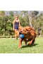 Ultra Squeaker Sound Dog Play Ball XL - 4