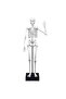 Skeleton 45 cm - 7
