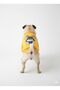 Cute Bunny Dog Outfit Hoodie Sweat - 3
