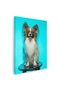 Tablou caine rasa Papillon, cod 4154