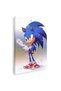 Tablou Sonic Ariciul, cod 3661