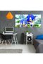 Tablou Sonic Ariciul, cod 3820 - 5