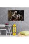 Assassin's Creed, cod 3551 - 3