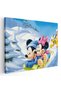 Minnie and Mickey mouse, cod 2164
