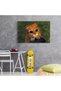 Tablou Shrek desene animate, cod 4901 - 3