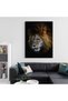 Tablou portret profil leu, cod 3124 - 5
