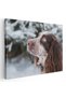Tablou caine Cocker Spaniel, cod 4181