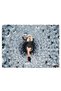 Lady Gaga cantareata, cod 2270 - 2