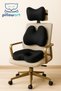 Ergonomic Office Chair Cushion Set |   Waist, Neck and Lumbar Support Set of 3
