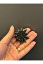 4X4 cm Iron-On Flower Emblem Sewing Accessory - 5