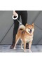 UFO Retractable Dog Leash – 3M | Sleek & Compact Design for Small Dogs - 4