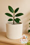 Jute Wicker Multi-Purpose Decorative Organizer Flower Pot Basket Garden Organizer Basket Width 20 Length 15 cm - 3