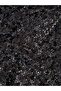 بلوزة بودي بأكمام طويلة من قماش شبكي مطرز بالترتر - أسود - 5