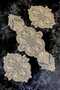 Living Room Set, Bedroom 3 Piece Coffee Table Cloth, Table Cloth 3 Piece Room Set - Gold Color - 2