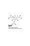 BEER FORMULA - 3