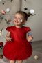 Baby Girl Dress Short Sleeve Tulle Tutu Special Occasion Party Birthday Wedding Princess Girls' Dress - 5