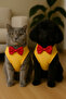 Cat Dog Bow Tie Undershirt - 3
