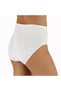 B008 Women's 100% Cotton High Waist Panties - 2