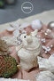 Christmas Ornament Gold Embroidered Scarf Bear White 45 cm - 7