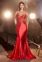 Rochie de ocazie specială, Cod CD820