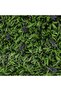 Artificial PVC Willow Fence - 100x200 cm Green Outdoor Garden Accessory with 1 Year Warranty - 2