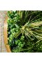 Wall Art Gezelligheid - 50 cm Green Artificial Plant Decor, Durable Polyethylene, 1 Year Warranty - 3