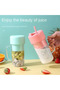 Crusher Juicer - 6