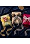 Chiffon Ribbon (2.5 X 20 Meters) Tulle Bundle Decoration Ribbon - Ecru - 5