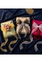 Chiffon Ribbon (2.5 X 20 Meters) Tulle Bundle Decoration Ribbon - Powder - 6