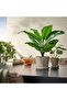 FEJKA Artificial potted plant, in/outdoor Banana tree, 12 cm - 3