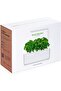 & Indoor Herb Garden Kit with Light | Smart Garden for Home Kitchen Windowsill | Easi - 3