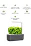 Smart Garden 3 Indoor Gardening Kit (Includes 3 Basil Plant Pods), Grey, 30 X 10 X 28 - 7