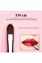 Lip Brush Set 5Pcs Professional Makeup Brushes Set Premium Black T325 - 2