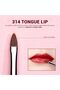 Lip Brush Set 5Pcs Professional Makeup Brushes Set Premium Black T325 - 5