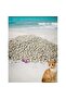 Cat Litter Bentonite Strong Clumping Lavender Scented 8kg x 4bag ( Total 32 kg ) - 6
