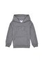 Men's Basic Hooded Sweatshirt Tekspor222590.0