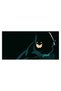 Batman desene animate, cod 4973 - 3