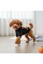 Halloween Pumpkin Print Dog Outfit Cat Dog Sweat - 3
