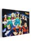 Tablou Dragon Ball anime, cod 5094