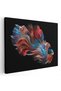 Tablou peste luptator betta, cod 1721