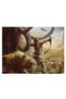 Far Cry, cod 3473 - 2