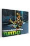 Testoasele Ninja desene animate, cod 2205