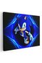 Tablou Sonic Ariciul, cod 3518