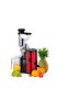 Easy to Clean Fruit Juicer Pure Juice Making Machine Slow Juicer - 2