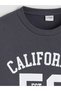 Anthracite Crew Neck California Printed Boys' Sweatshirt - 3