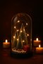 New Year's Pine Tree Bell Jar with Lights New Year's Snow and Tree Themed Gift Bell Jar with 3 Trees - 2