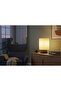 Oasis Series Lampshade - Decorative Lighting - Night Light - Desktop Lamp - 2