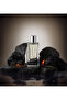 LION ERKEK EXTRAIT DE PARFUM 60ML - 3