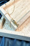 Limited Edition Anchovy Fish Design Pendant Model Gold Color Steel Necklace - 3